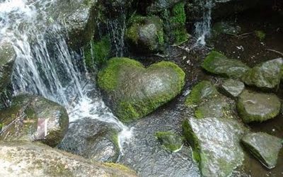 Cultivating Our Heart