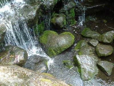 Cultivating Our Heart