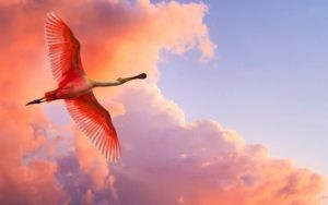 The Journey to “Good Enough”