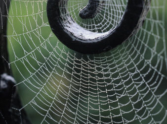 The Web We Weave