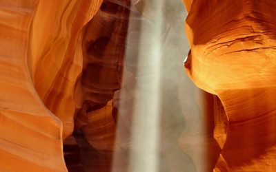 Standing in the Light