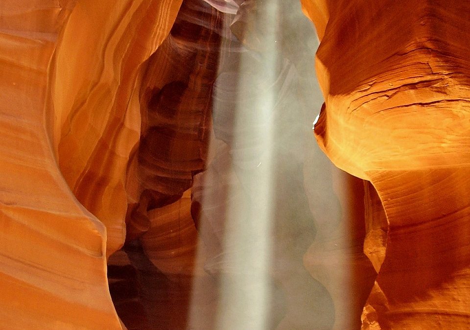Standing in the Light